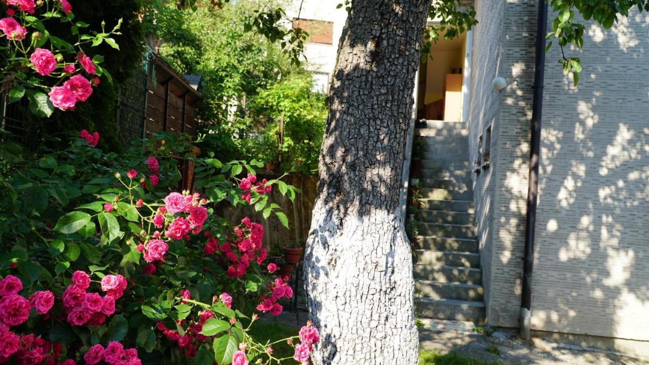Hedgehog's - Jezeva Kucica Free Parking Apartment *