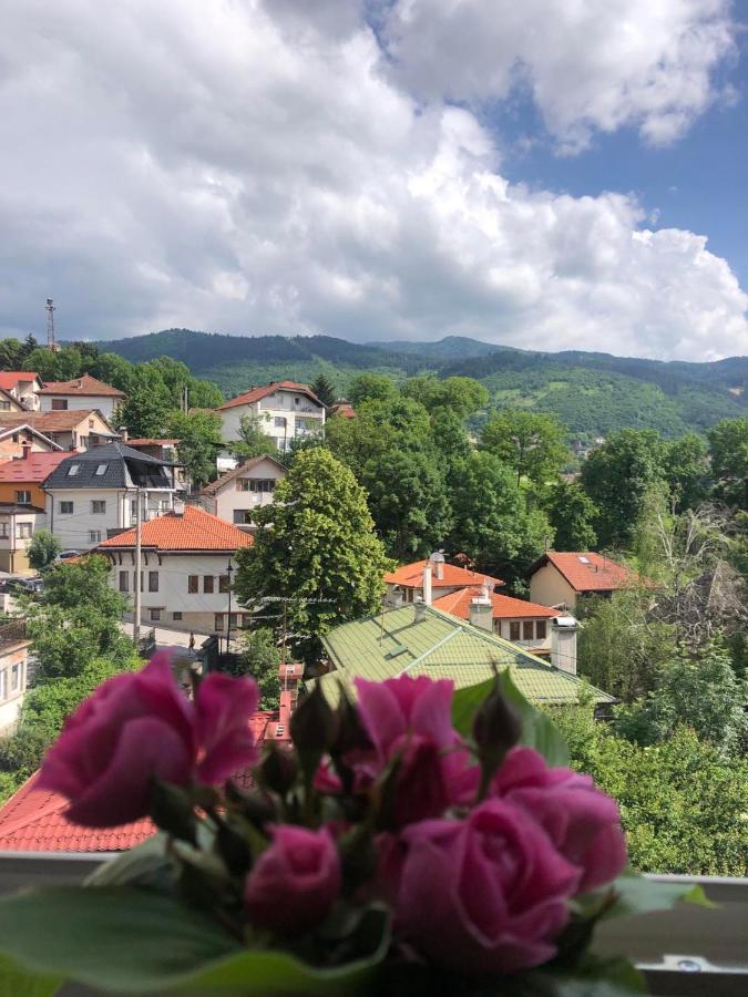 Hedgehog's - Jezeva Kucica Free Parking Apartment *