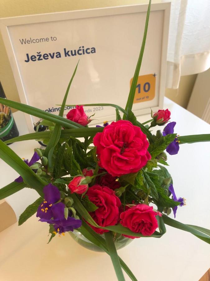 Hedgehog's - Jezeva Kucica Free Parking Apartment *