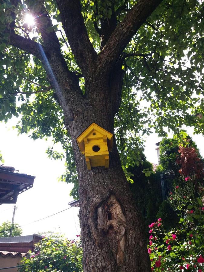 Hedgehog's - Jezeva Kucica Free Parking Apartment *