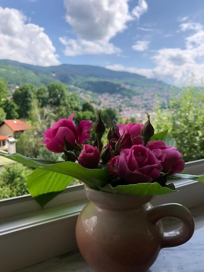 Hedgehog's - Jezeva Kucica Free Parking Apartment Sarajevo