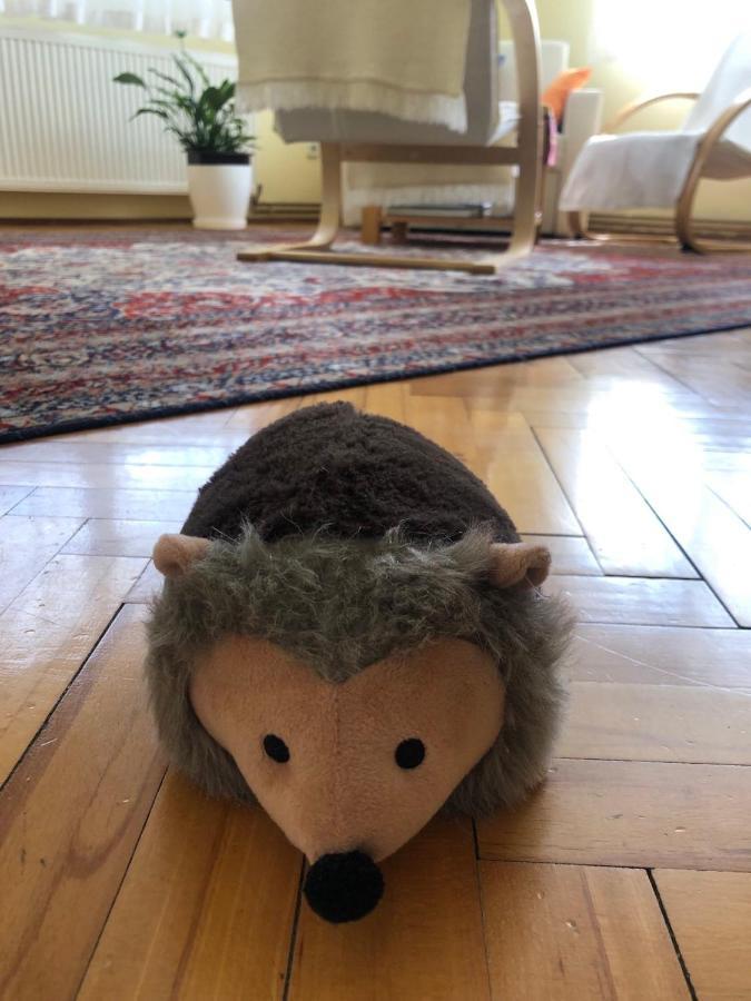 Hedgehog's - Jezeva Kucica Free Parking Sarajevo