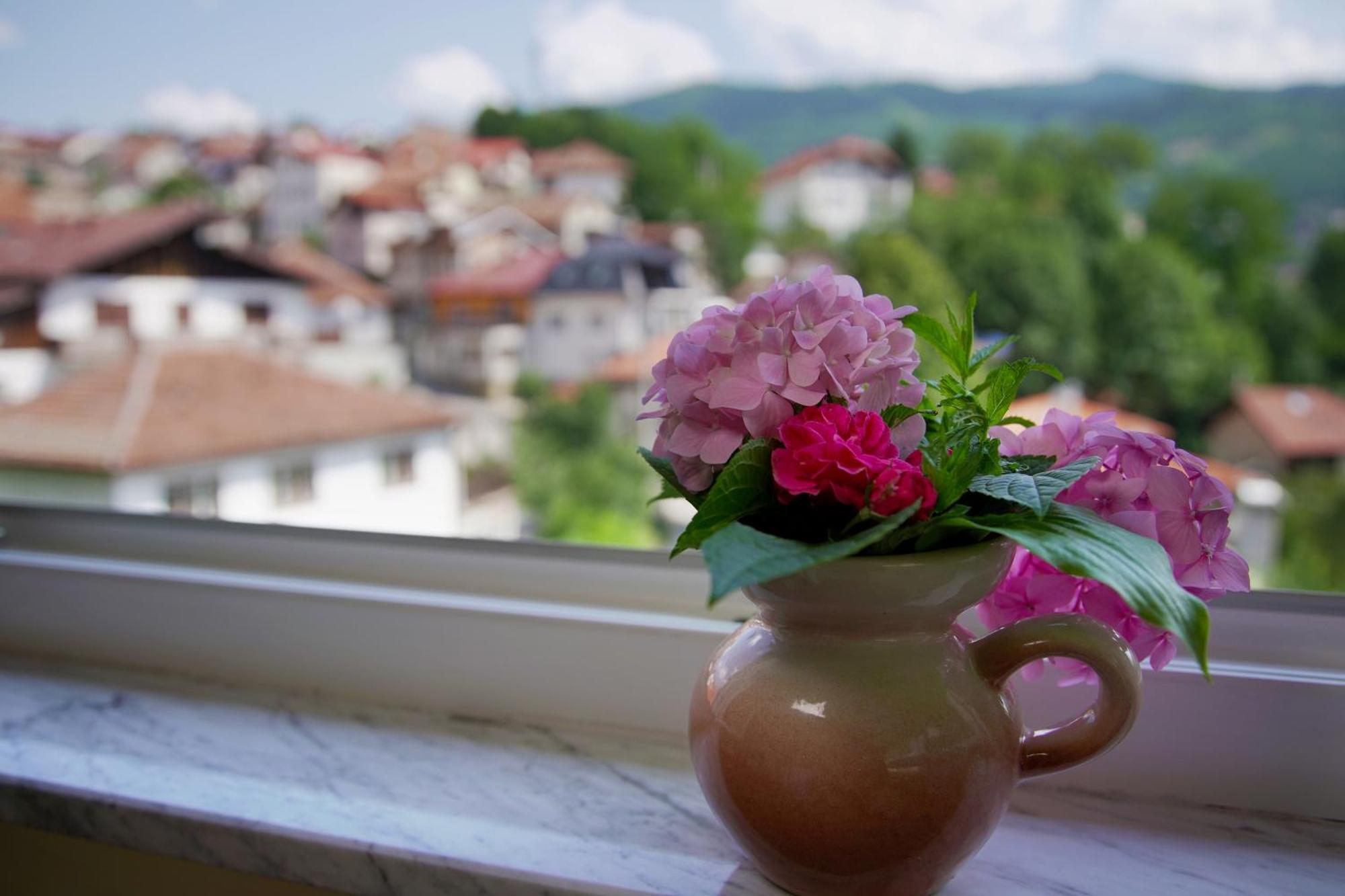 Hedgehog's - Jezeva Kucica Free Parking Apartment Sarajevo